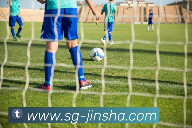 澳门金沙官网发展历程